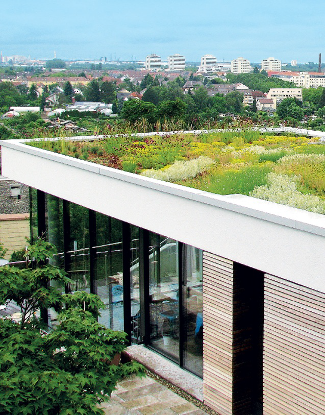Begrüntes Flachdach auch Gründach genannt